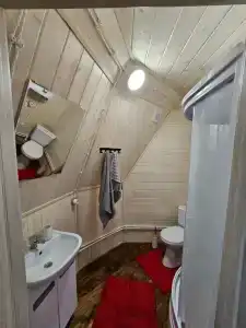 Гнездовье - 65