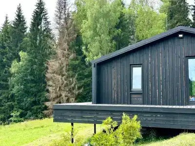 Уютный дом у леса Сканди - 3