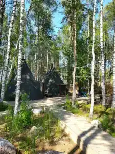 Типи-трип - 1