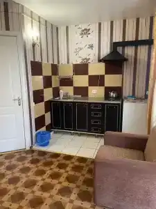 Кипарис - 165