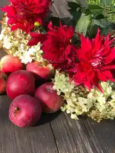 Царское село - 39