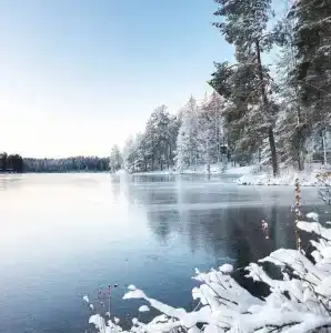 Яблоневый сад - 28