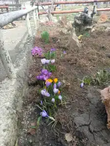 Уютный дизайнерский домик для отдыха - 85