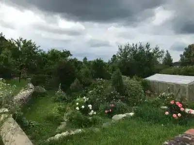 Три Галки - 16