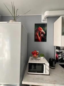 Квартиры на Ленинградской 144 - 67