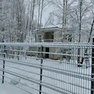 В гостях у леса - 13