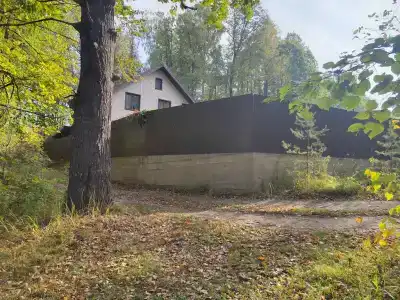 В лесу у залива - 22
