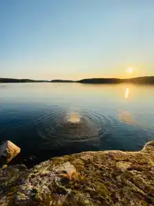 Брусника у Ладоги - 15