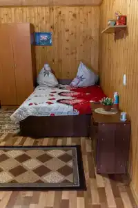 Платан - 8