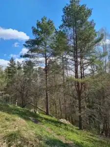 Коттедж у озера в Хабалинке - 43