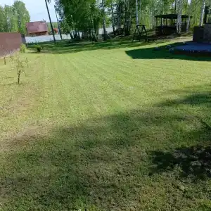 Вера - 38