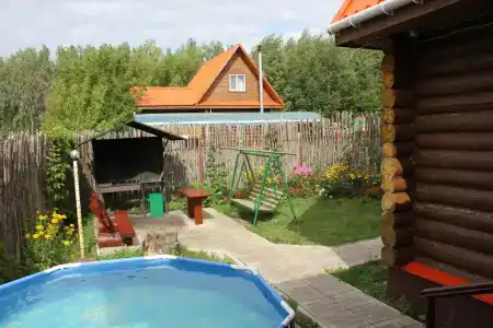 Подсолнух - 84
