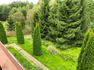 Агроусадьба на уединенном хуторе - 34