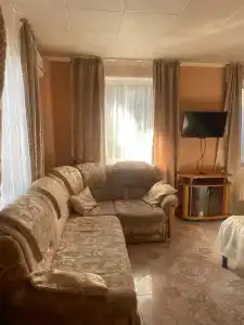 Кипарис - 180