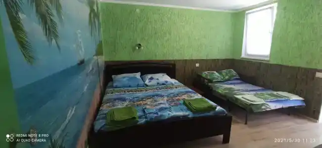 Цветок папоротника - 3