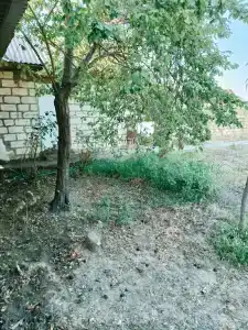 (дача) у моря - 14