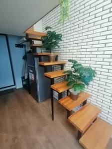Квартиры на Ботанической 41к7 - 403