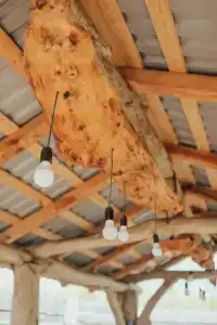 Васильки - 25