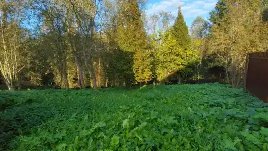 Дом для отдыха с русской баней - 26