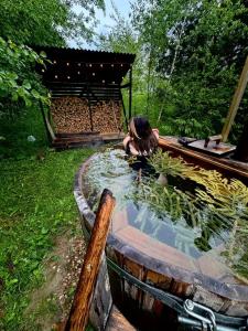 Papino Village A-frame house - 27
