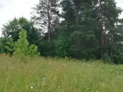 Дом на Прохладной 11 - 26