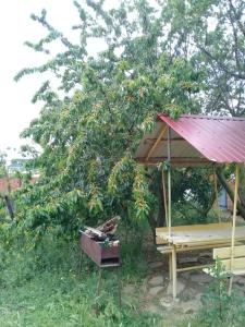 Понт Эвксинский - 9