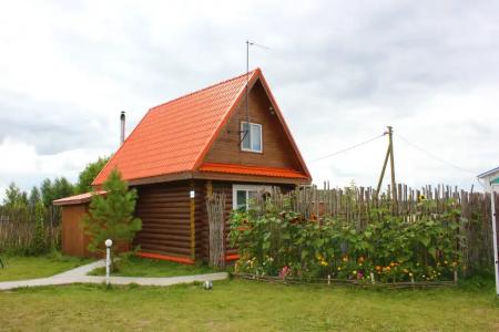 Подсолнух - 73
