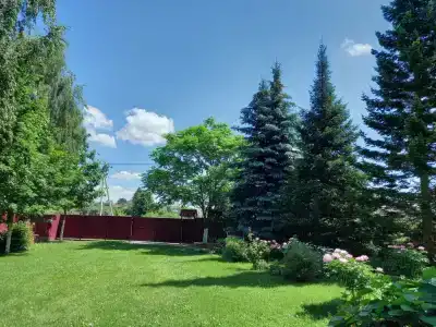 У Силиих - 40