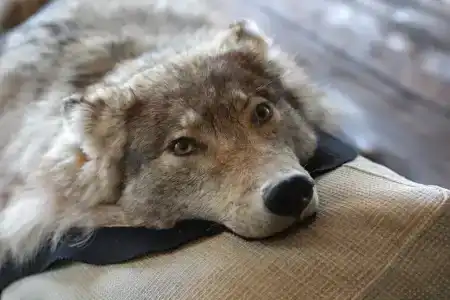 Вилла у озера Мядель - 23