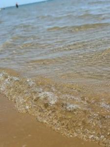 Квартиры на Некрасова 100 - 16