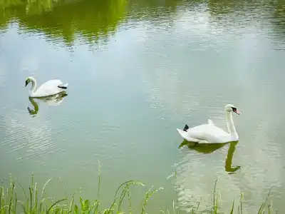 Уютный домик - 7