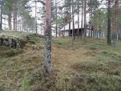 Территория Тернаволок - 65