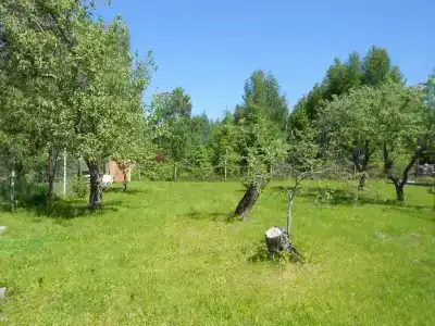 Домик на Волге в Городище - 5