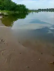 А У Реки - 21