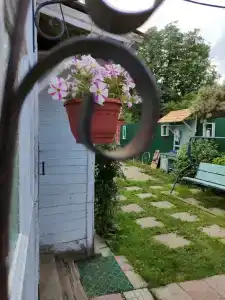 Лисапедово - 115