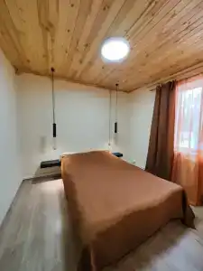 В гостях у леса - 50