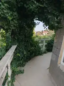 Андалусия - 141