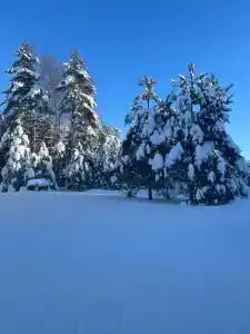 Гостевой дом Плещеево - 20