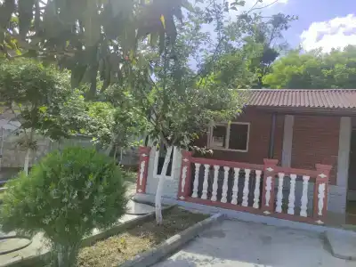 Лучана - 1