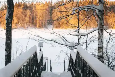Ромашка - 60