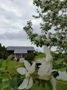 Дом с 4 спальнями в Соломидино - 7