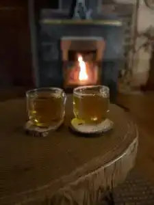 Усадьба в Беловежской пуще У камина - 2