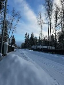 Дом в сосновом лесу - 39