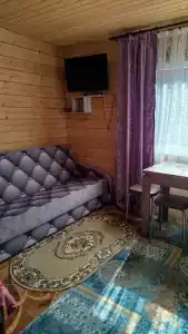 Счастливый случай - 11