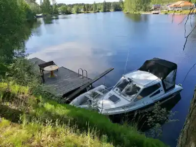 Сосны - 59