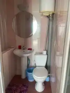 Кипарис - 202