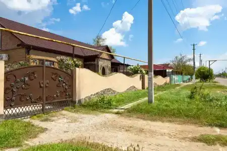 Ленивый Дельфин - 91