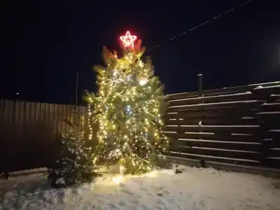 Агроусадьба Самуэлево - 20