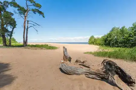 Рассвет - 23
