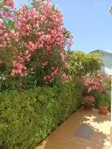 Уютные апартаменты в частном доме с террасой с видом на море - 58